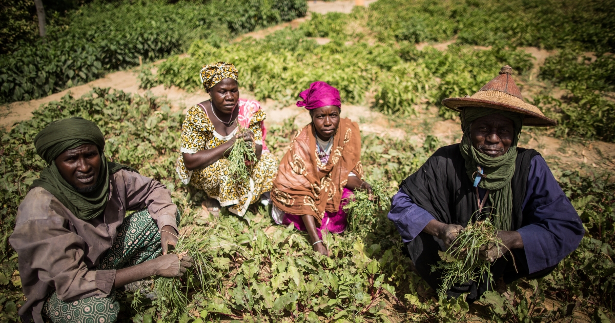 UNCCD và FAO kêu gọi hành động khẩn cấp bảo vệ đất và nước